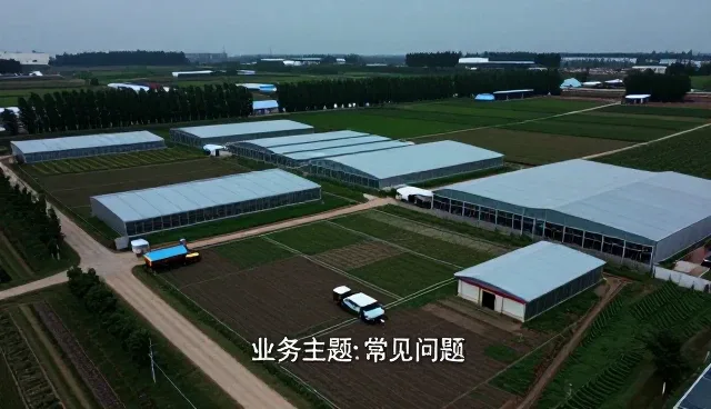 技术咨询在安装调试中的关键作用与应用分析